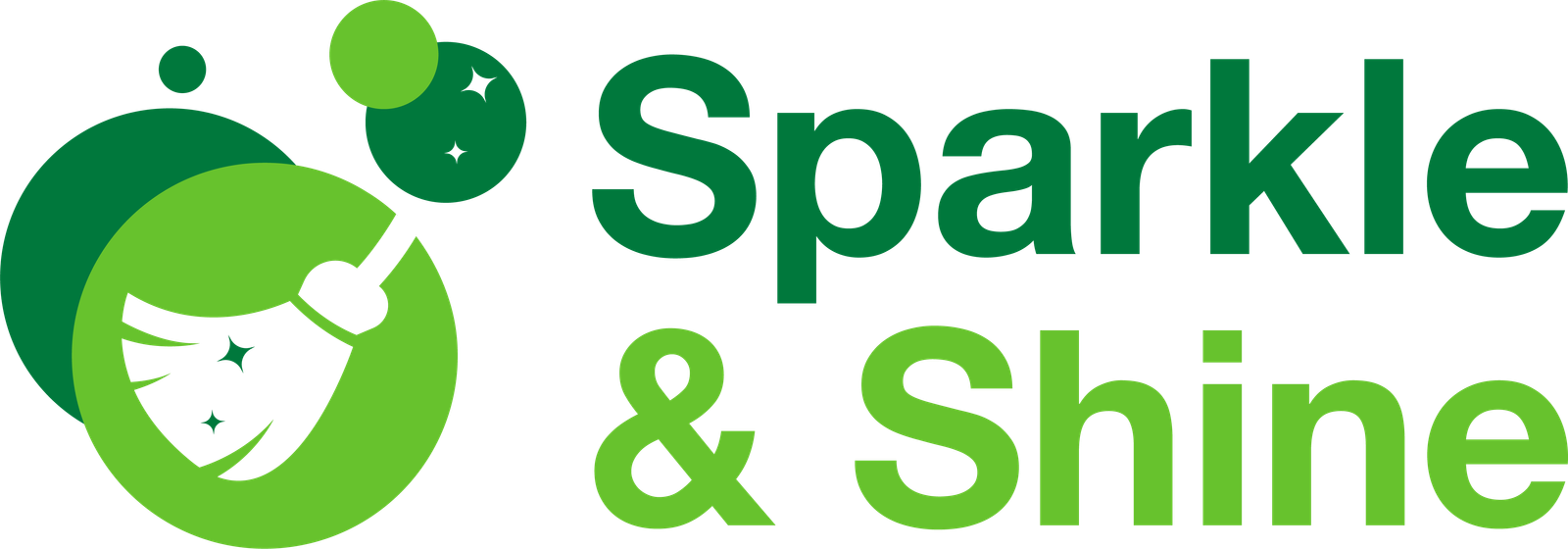 sparkle and shine logo